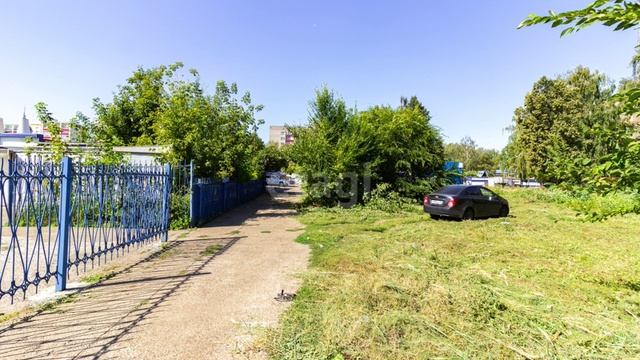 8150372 смотреть онлайн