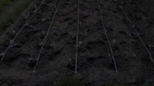 Трубка Для Капельного Полива 16 Мм