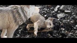 Schleich \\ шляйх Фильм "КЛЫКИ"