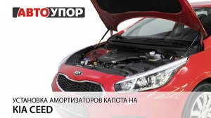 Kia Ceed | Установка амортизаторов капота АвтоУПОР