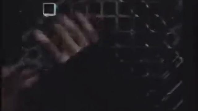 Iphone × dance monkey смотреть онлайн