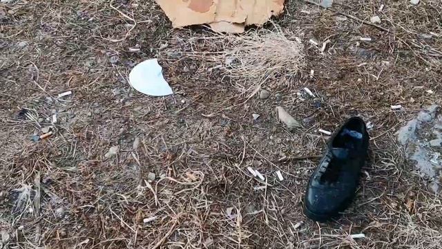 #мусор#собаки#жильцы мне задали вопрос:-женщина, а Вы зачем убираете?? смотреть онлайн