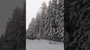 №64 Гармонизация и балансировка структур дряблых мышц и кожи