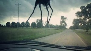 гиганты Тревора Хендерсона часть 2