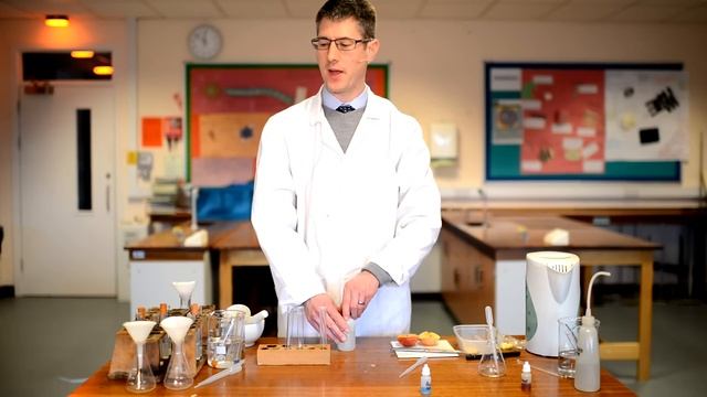 Food Tests - GCSE Science Required Practical смотреть онлайн