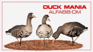Белолобый гусь Duck Mania "ALFA" ALFA6B-DM