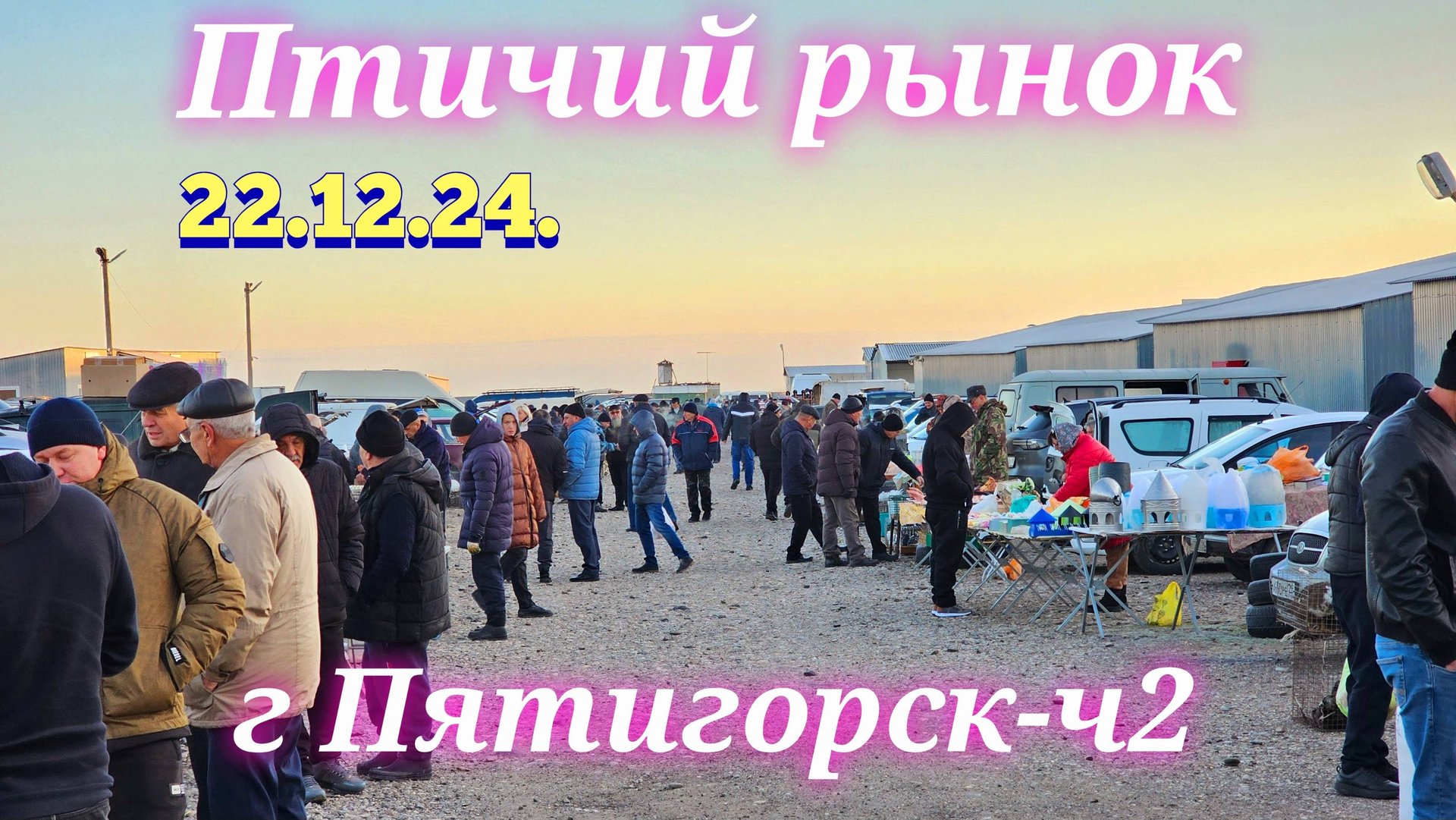 Голуби цены Птичий рынок г Пятигорск -ч2 смотреть онлайн