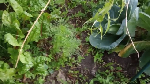 27 juin 2023 ; tour du jardin смотреть онлайн