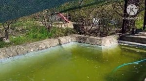 Кормление живым кормом форели верхоплавкой горчаком бесплатный корм