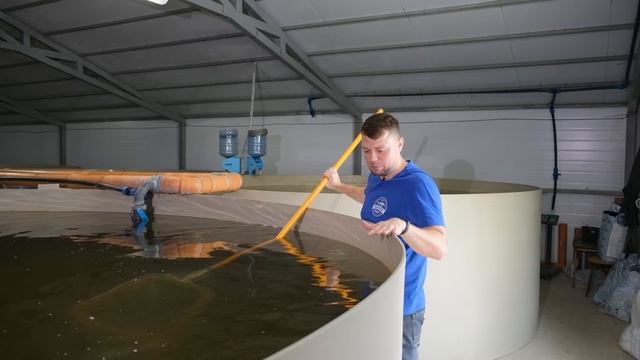 Белуга июнь 2021 смотреть онлайн