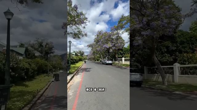 Как живут в Африке сейчас. Африканский город Стелленбош. #африка #стелленбош #юар #путешествия смотреть онлайн