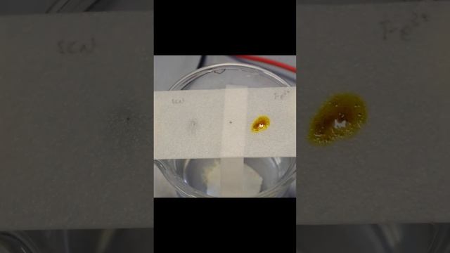 Migration of Fe(III) ion and KSCN #chemistry смотреть онлайн