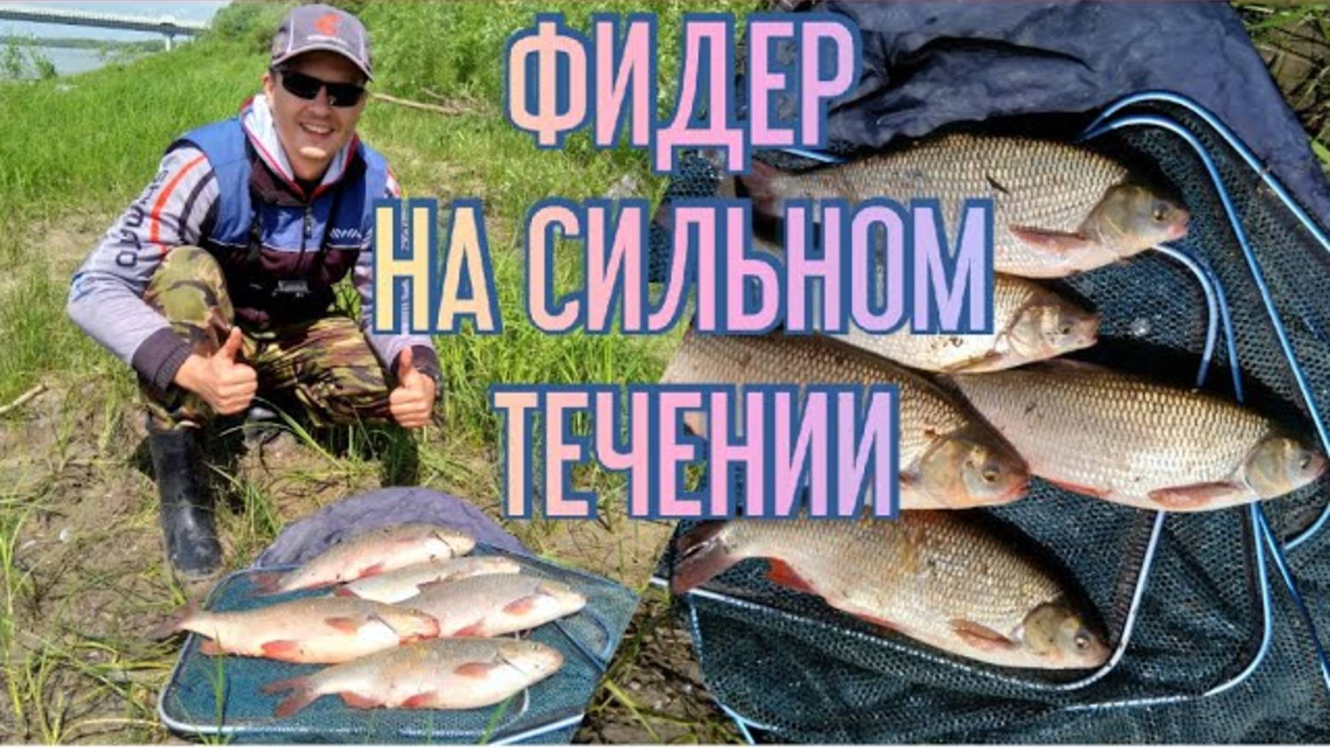 Фидер на СИЛЬНОМ ТЕЧЕНИИ. Ловля ЯЗЯ. Рыбалка 2020 смотреть онлайн