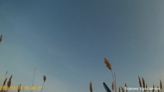 Охото на утку Весна 2019 г Открытие смотреть онлайн