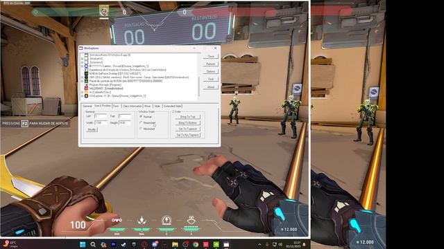 COMO ESTICAR A TELA DO VALORANT E REMOVER BORDAS смотреть онлайн