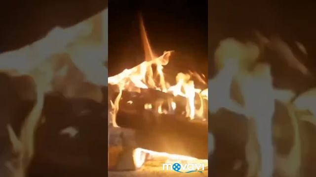 ........давайте от печки........гусь фаршированный картошкой смотреть онлайн