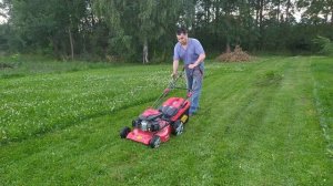 Новая помошница. Газонокосилка DDE LM51-60.