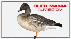 Чучела гуся гуменника Duck Mania "ALFA"