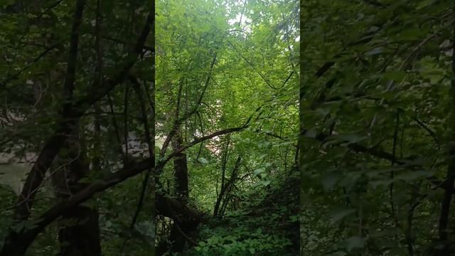 Мезмай ч.6 Водопад смотреть онлайн