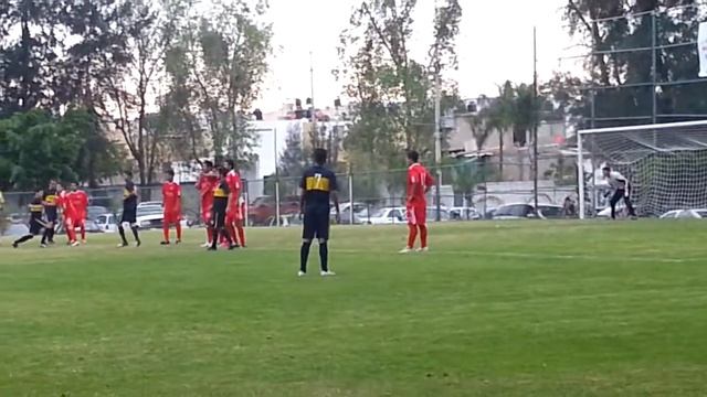 Gol!!!Final liga animales 2012 halcones смотреть онлайн