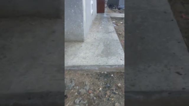 Беруний тумани Шайх Аббос Вали кучаси 61/б уй падездлари аянчли ахволга келиб колган смотреть онлайн