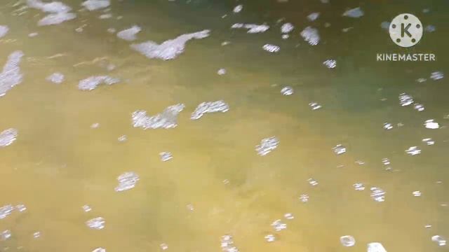 Охлаждаем воду для форели в пруду_строим пруд осетр форель стерлядь смотреть онлайн