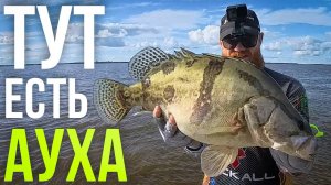 нашли РЫБНОЕ место | поисковая рыбалка