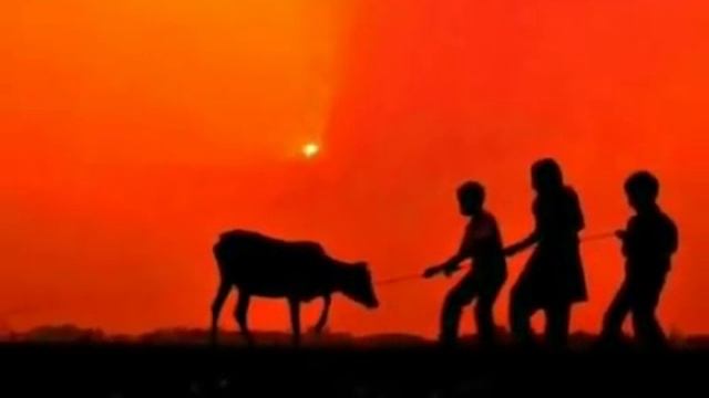 Bangladeshi Folk Song Habib Feat Helal Amar Mon MojaiyHQ   YouTube