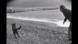 Свидание — Меняться телами