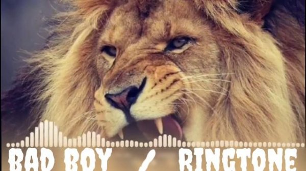 ALEX_&_RUS_ДИКАЯ_ЛЬВИЦА_Music_version_HD_mp3