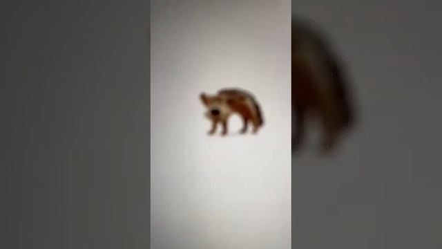 Летний урок балакаюча абэтка смотреть онлайн