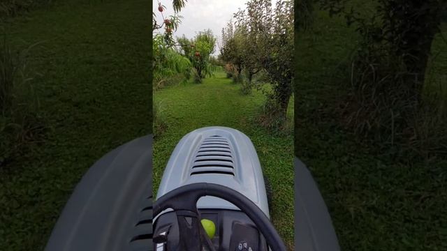 MTD SILVERTRACK 107 T/175 - REAL LIFE - KOŠNJA VOĆNJAKA 🌳🍂 смотреть онлайн