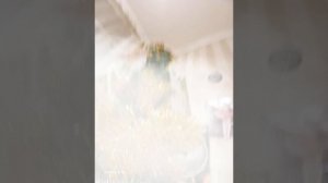 MERRY CHRISTMAS 🎅 🎄 ❤️