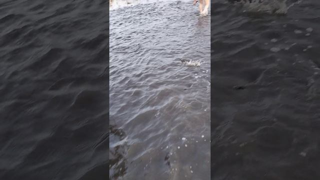 Рыбалка руками