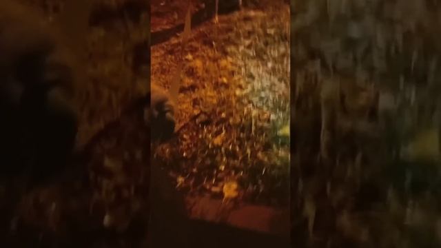 Покусали китайский внедорожник смотреть онлайн