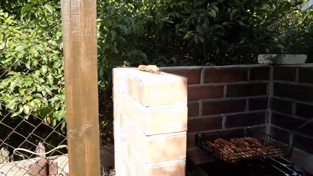 Муж сделал "гробы", пожарил шашлык, распилил яблоню и ворчит, не довольный. Наша дача смотреть онлайн