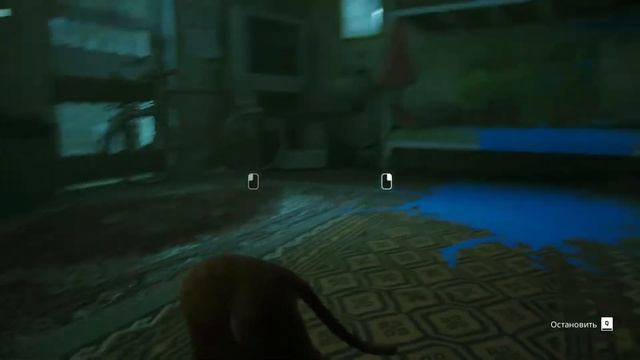 Stray. 5 Минут От Начала Игры, А Кот Уже Лезет В Преисподнюю смотреть онлайн