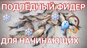 Подлёдный фидер для начинающих. Снасти, прикормка, место ловли.