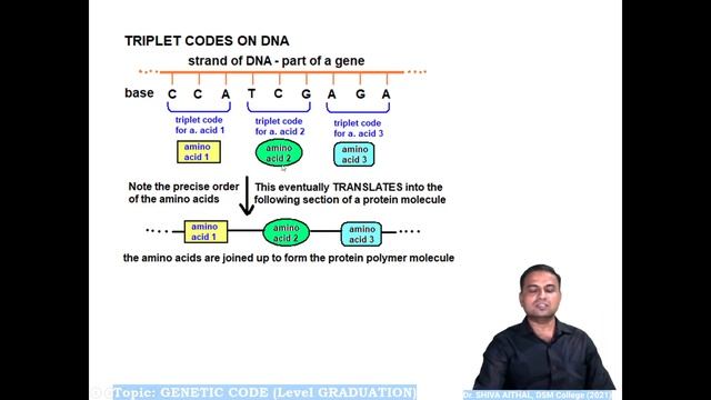 01 CHARACTERISTICS OF GENETIC CODE смотреть онлайн