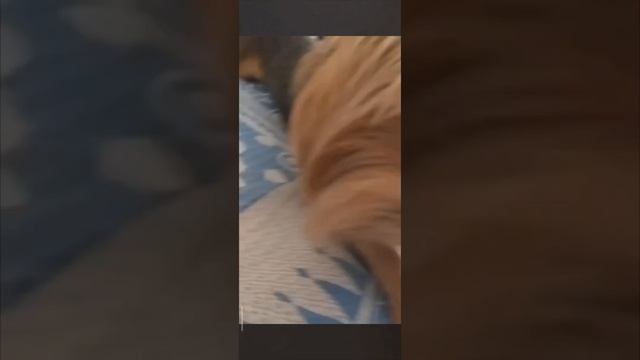 💗 смотреть онлайн