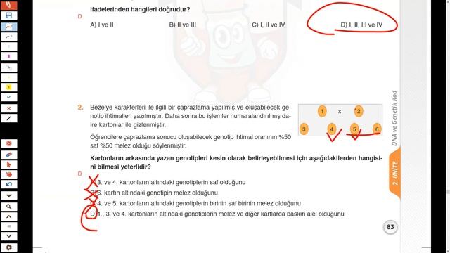 DNA VE GENETİK KOD | TEST NO : 25 NETİZ YAYINCILIK FULLFEN смотреть онлайн