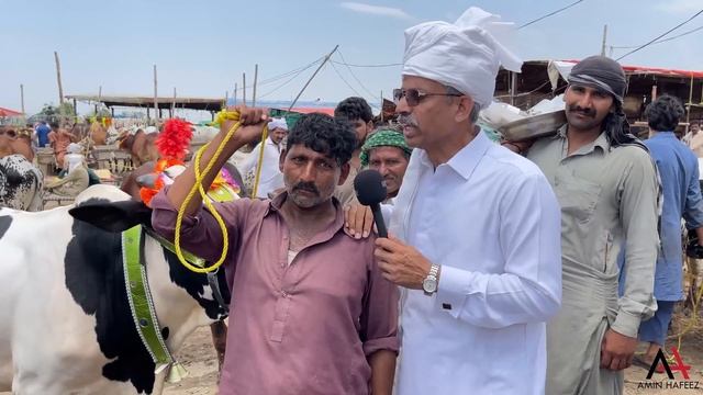 Amin Hafeez in Bakra Mandi | Shahpur Kanjra | Amin Hafeez смотреть онлайн