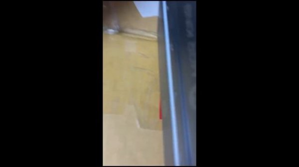 Тест картриджей marking #marking #daermag