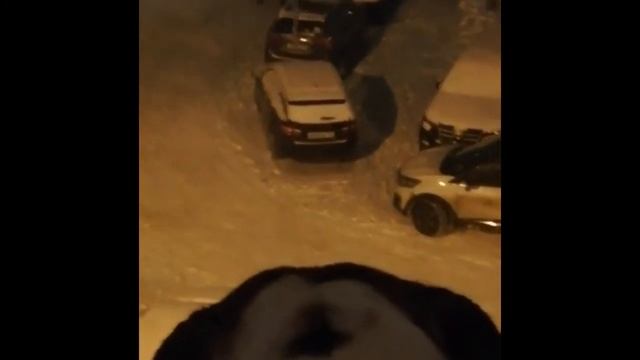 Английский бульдог Тайсон охраняет смотреть онлайн