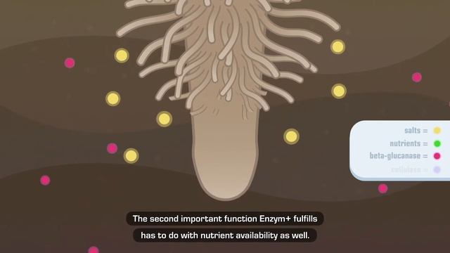 Enzym+ | Aptus Plant Tech | Powerful Enzyme Complex смотреть онлайн