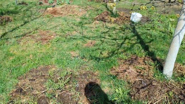 Влог //Деревенские будни смотреть онлайн