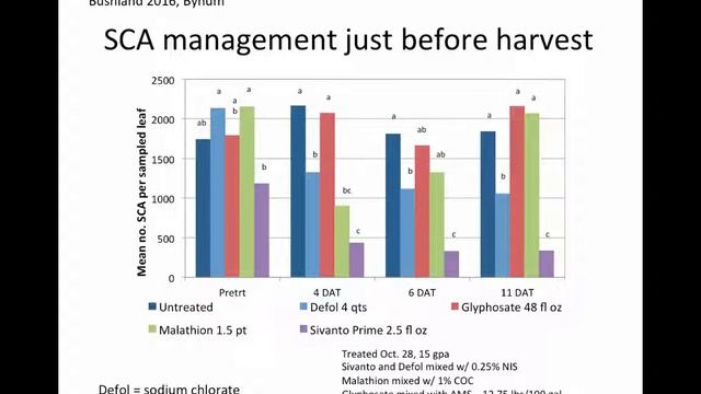 Insecticides to prevent sugarcane aphid sticky harvest problems (5:56) смотреть онлайн