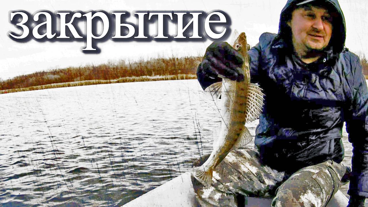 Закрытие сезона открытой воды 2023. Рыбалка на судака и берша в Самаре. смотреть онлайн