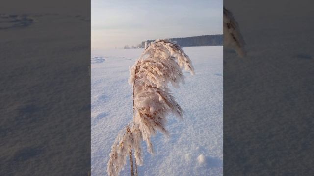 Зимняя сказка. 2023. смотреть онлайн