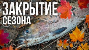 ЛЕНОК на форелевый спиннинг | Major Craft Troutino Stream TTS-512L